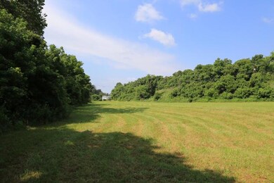 Fields2