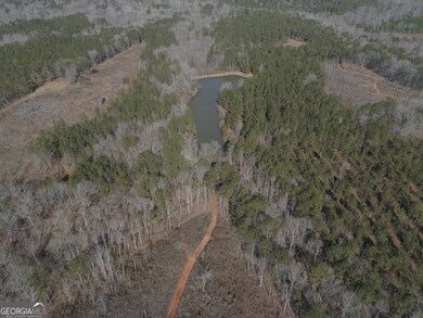 293 AC Hopewell Rd, Forsyth, GA 31029 - photo 7