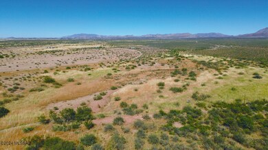DJI_0246.JPG