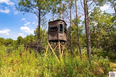 000 State Route 1433 unit Lookout Tower Ro, Salem, KY 42078 - photo 7