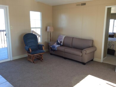 photo 6 (3)