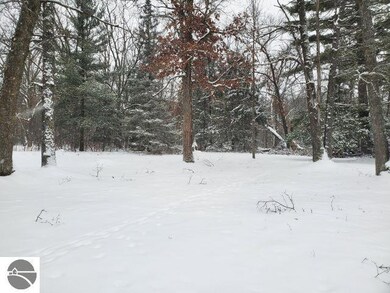 0 Clear Lake Rd unit 1930102, West Branch, MI 48661 - photo 2