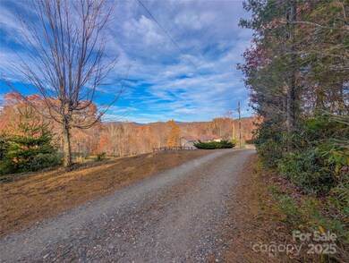 Mountain View from front of lot & gravel road frontage on Spar Mill Rd - lot is located to right in this photo