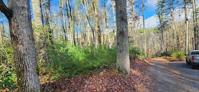 3 LOTS Ridgecrest Dr, Blue Ridge, GA 30513 - photo 3