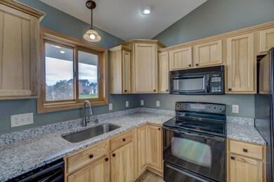 Bright and sunny kitchen window: NEW dishwasher!