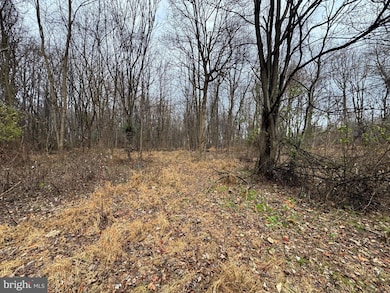 0 Peach Tree Rd unit MDMC2210762, Dickerson, MD 20842 - photo 5