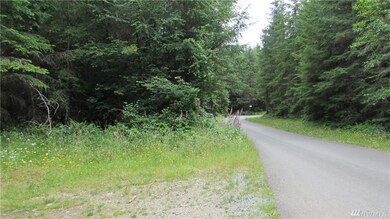 25827 186th St E, Orting, WA 98360 - photo 4