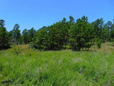 tbd Peach Creek Rd, Fan, OK 74935 - photo 6
