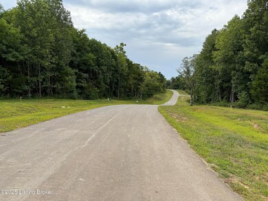 5304 Sycamore Ridge Ln, La Grange, KY 40031 - photo 5