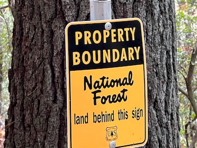 0 Zion Hill Rd unit 411375, Ellijay, GA 30540 - photo 6