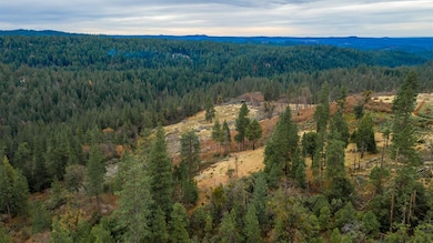 0 Pine Tree Ln unit 225032933, Pollock Pines, CA 95726 - photo 7