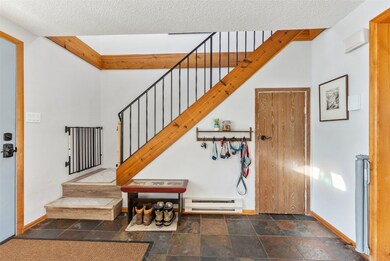 342 W 4th St unit 342, Silverthorne, CO 80498 - photo 4