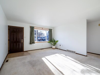 14 Daisy Ct, Windsor, CO 80550 - photo 7