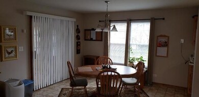 1747 Anne Ln, Morris, IL 60450 - photo 5