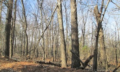 213 Alder Way, Tahlequah, OK 74464 - photo 3