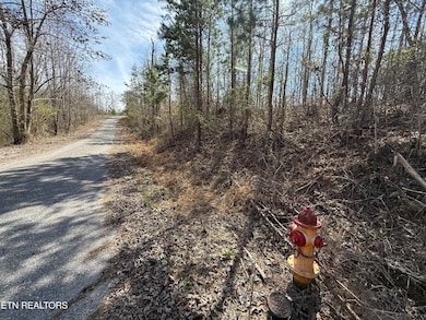 TBD Brandt Pike, Lafollette, TN 37766 - photo 2