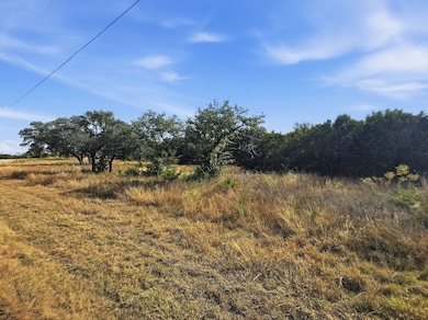 Lot 25 & 26 Ph 4 Private Road 4212, Evant, TX 76525 - photo 4