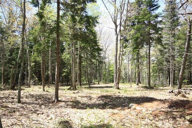 0 Old Stonewall Rd unit 1259598, Boothbay Harbor, ME 04538 - photo 3