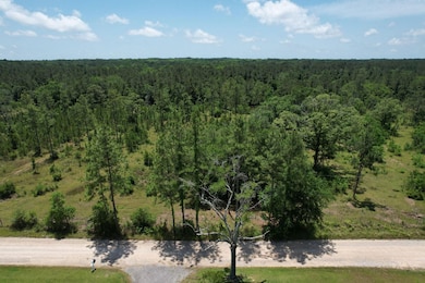 0 Mcgregor Rd unit 23667917, Grand Bay, AL 36541 - photo 5