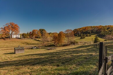 IMG_4366