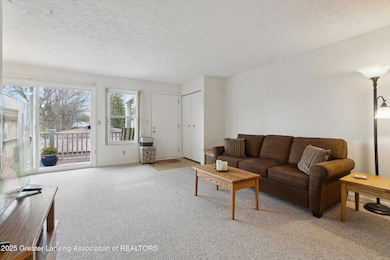12-2034-Hamilton-Rd-Okemos-MI-48864-Wind