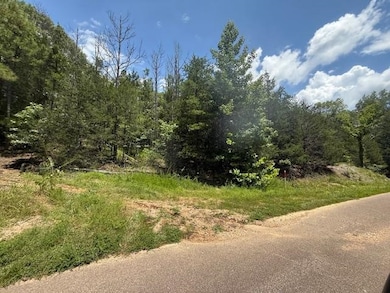 TRACT 6 Cherry Chapel Loop, Savannah, TN 38372 - photo 5