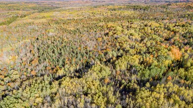 DJI_0118