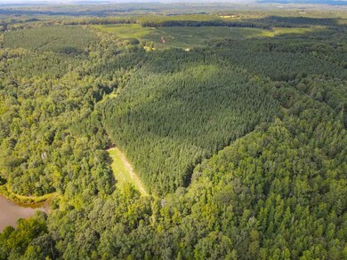 00 Starnes Rd, Enoree, SC 29335 - photo 7