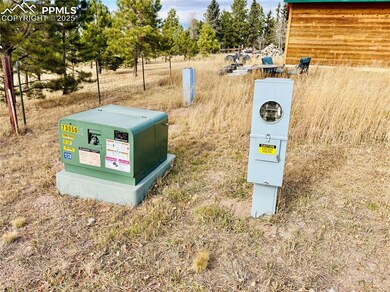 799 Elfin Glen Dr, Divide, CO 80814 - photo 4