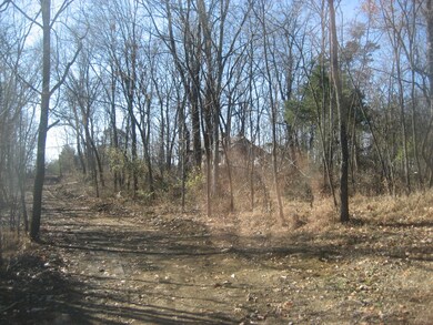 1433 Seaville Rd, Willisburg, KY 40078 - photo 5