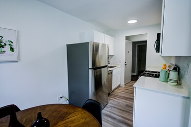 unlisted-address, Chicago, IL 60625 - photo 4