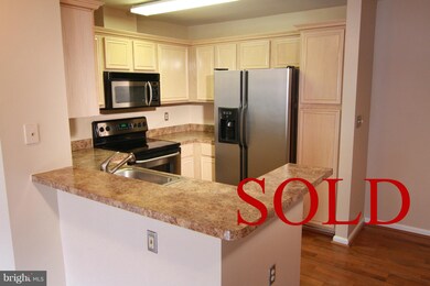 4408 Silverbrook Ln unit K101, Owings Mills, MD 21117 - photo 7