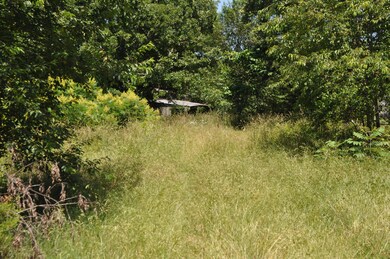 Tbd Farm Road 2085, Jenkins, MO 65605 - photo 3