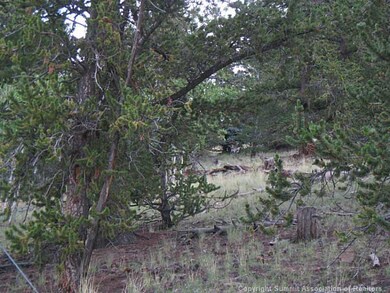 Land/Lot.