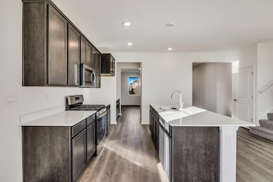 313 Snowdrop Ln, Elgin, IL 60124 - photo 5