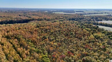 3265 Ogden-Colvin Cir, Kevil, KY 42053 - photo 7