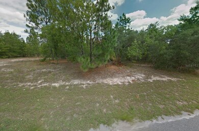 2173 W Kenmore Dr, Citrus Springs, FL 34434 - photo 4