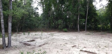 8745 Celia Rd, Tallahassee, FL 32305 - photo 3