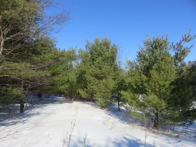 0 Nh Route 118 unit 4896849, Canaan, NH 03741 - photo 4