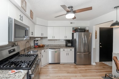 31 Drake Ln, Ledgewood, NJ 07852 - photo 7