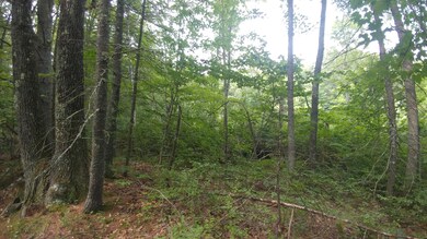 88 Boyd's Corner Rd, South Berwick, ME 03908 - photo 5