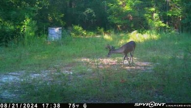 Parcel A&B Sunburst Dr, Crestview, FL 32539 - photo 4