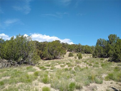 0 Carlson Rd unit REC5387533, Walsenburg, CO 81089 - photo 6