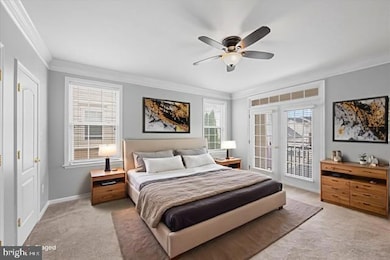 43613 Mcdowell Square, Leesburg, VA 20176 - photo 7