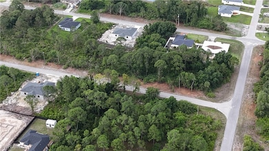 View of bird's eye view