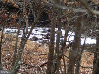 0 Circling Hawk Ln unit 1000168039, Berkeley Springs, WV 25411 - photo 5