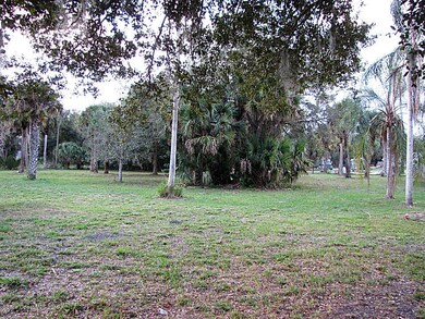 IMG_3716