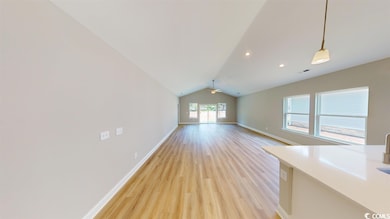 1008 Moen Loop unit Lot 3, Conway, SC 29526 - photo 5