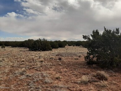 Land has trees and open areas