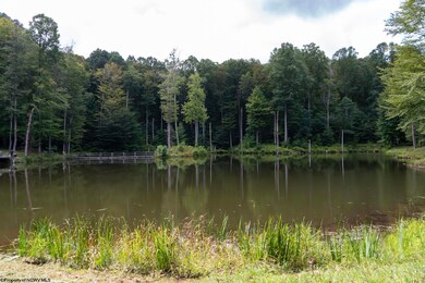 180 Thorpe Mountain Ln, Tallmansville, WV 26237 - photo 6